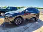 2024 LEXUS NX 350