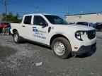 2025 FORD Maverick