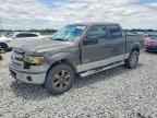 2013 FORD F-150 Lightning