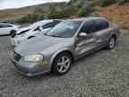 2000 NISSAN Maxima