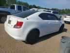 2011 SCION TC