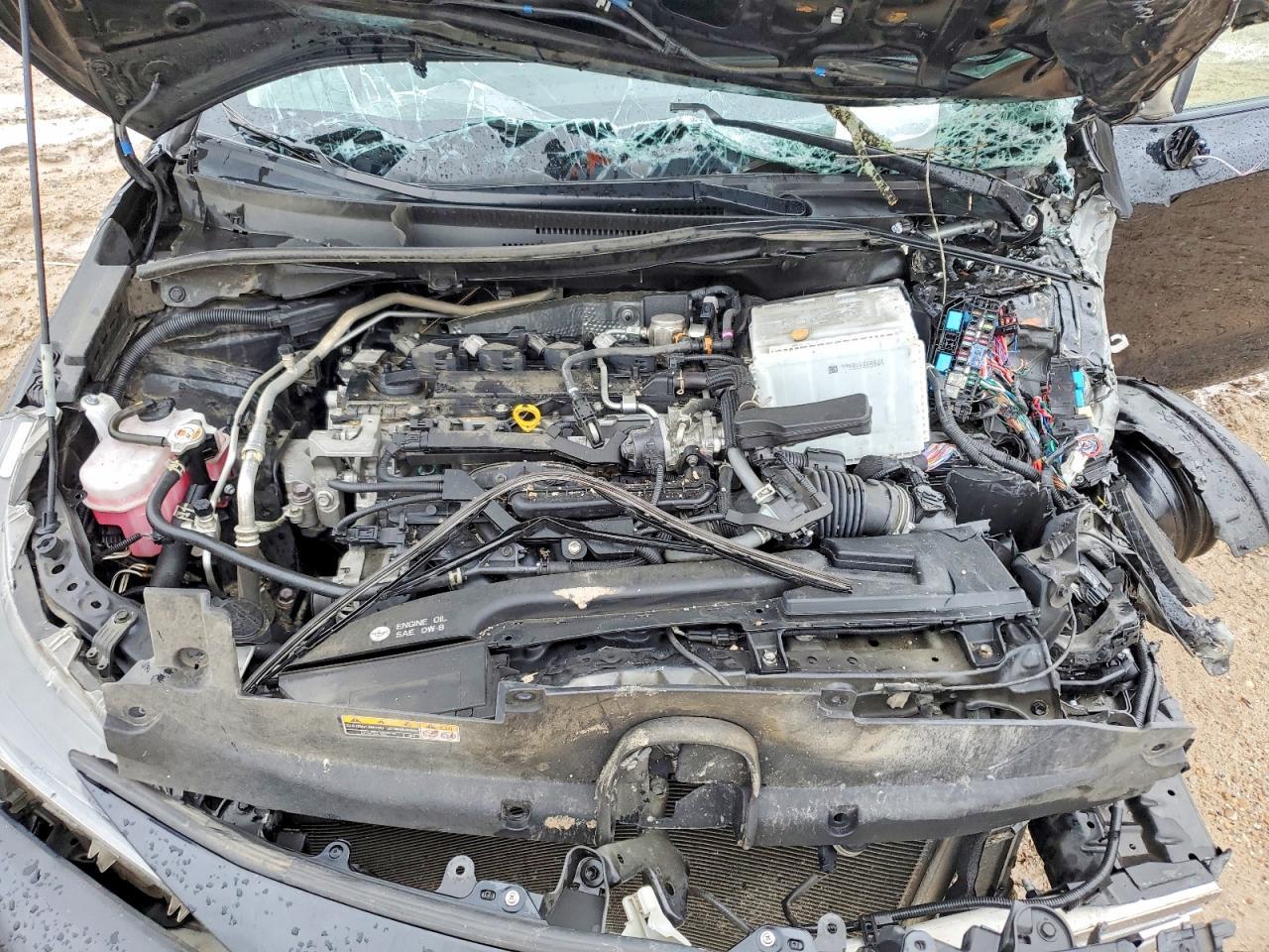 2023 TOYOTA COROLLA