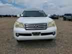 2010 LEXUS GX 460