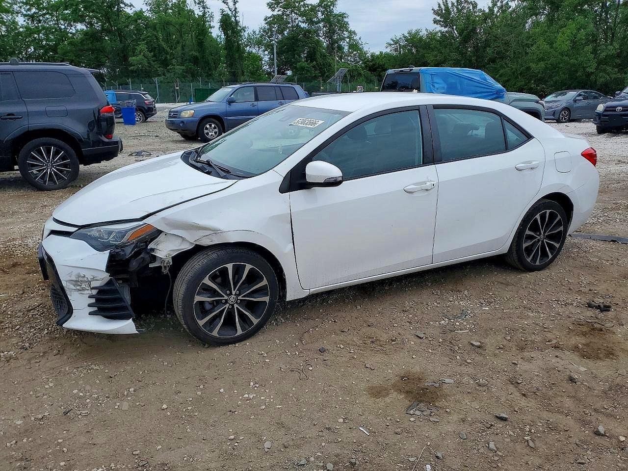 2019 TOYOTA COROLLA