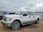 2013 FORD F-150 Lightning