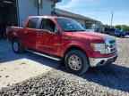 2010 FORD F-150 Lightning