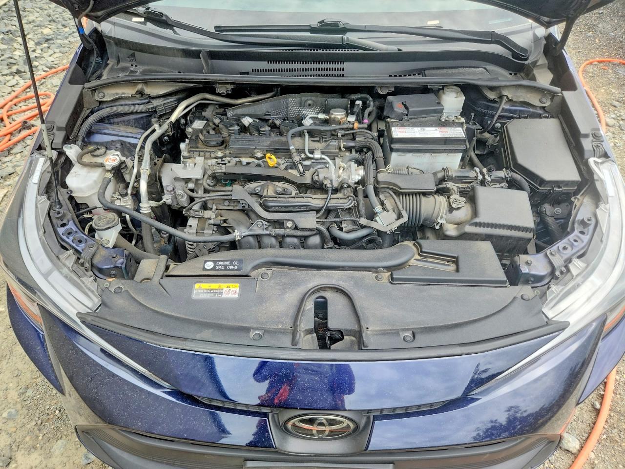 2023 TOYOTA COROLLA