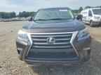 2017 LEXUS GX 460