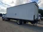 2017 FORD F-650