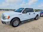 2014 FORD F-150 Lightning