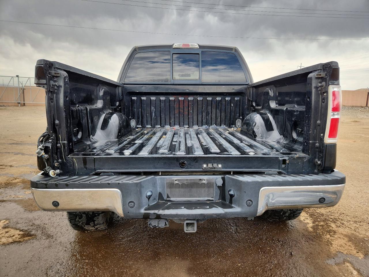 2010 FORD F-150 Lightning