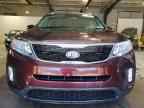 2014 KIA SORENTO