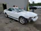 2010 FORD MUSTANG