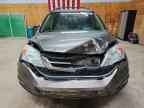 2010 HONDA CR-V