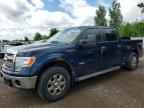 2013 FORD F-150 Lightning