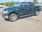 2014 FORD F-150 Lightning