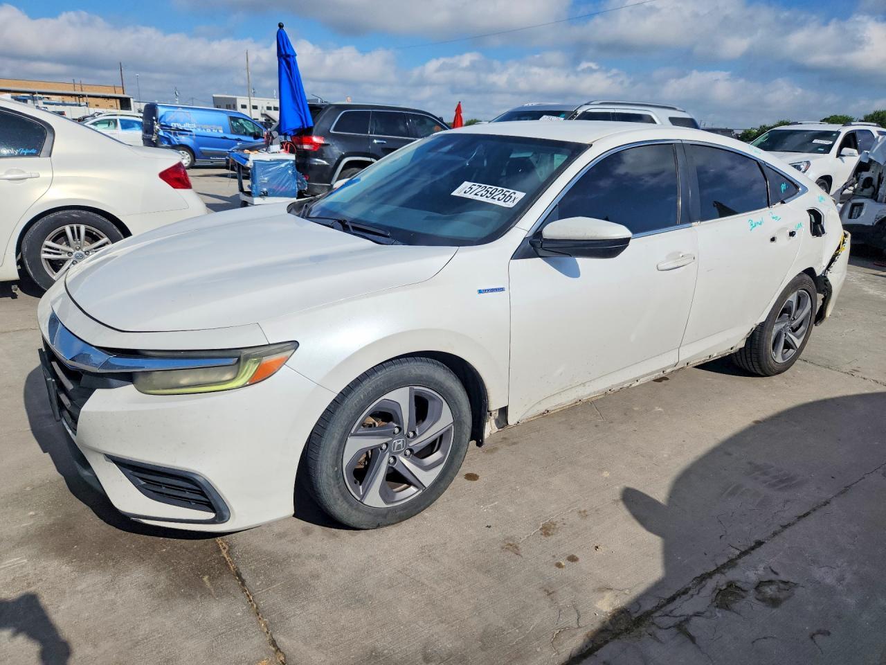 2019 HONDA Insight