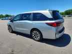 2025 HONDA ODYSSEY