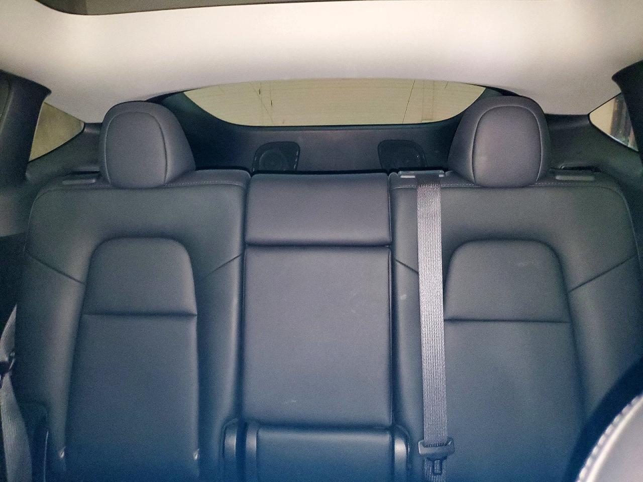 2025 TESLA MODEL Y