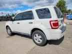 2010 FORD ESCAPE