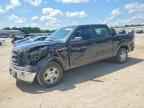2013 FORD F-150 Lightning