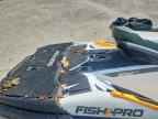 2020 Sdea Boat