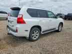 2010 LEXUS GX 460