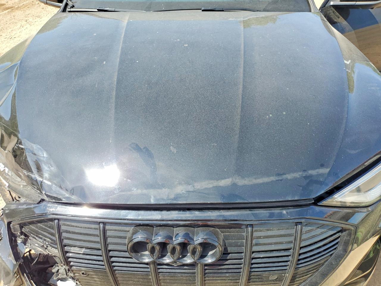2022 AUDI e-tron S