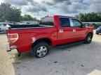 2010 FORD F-150 Lightning