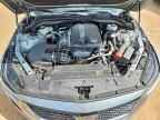 2024 CADILLAC CT5