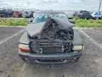 2002 DODGE Dakota