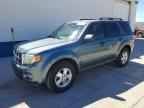 2010 FORD ESCAPE