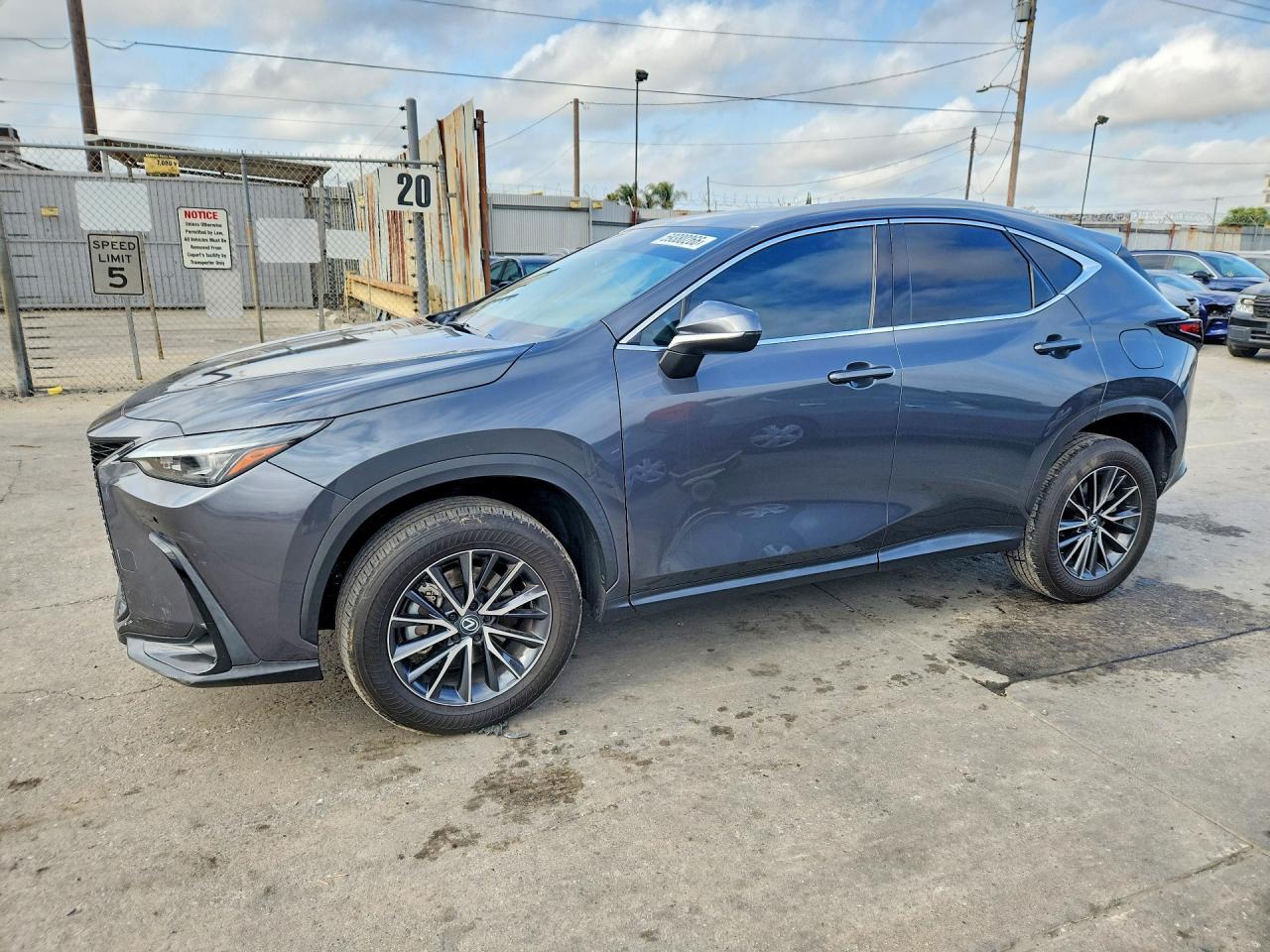 2024 LEXUS NX 350