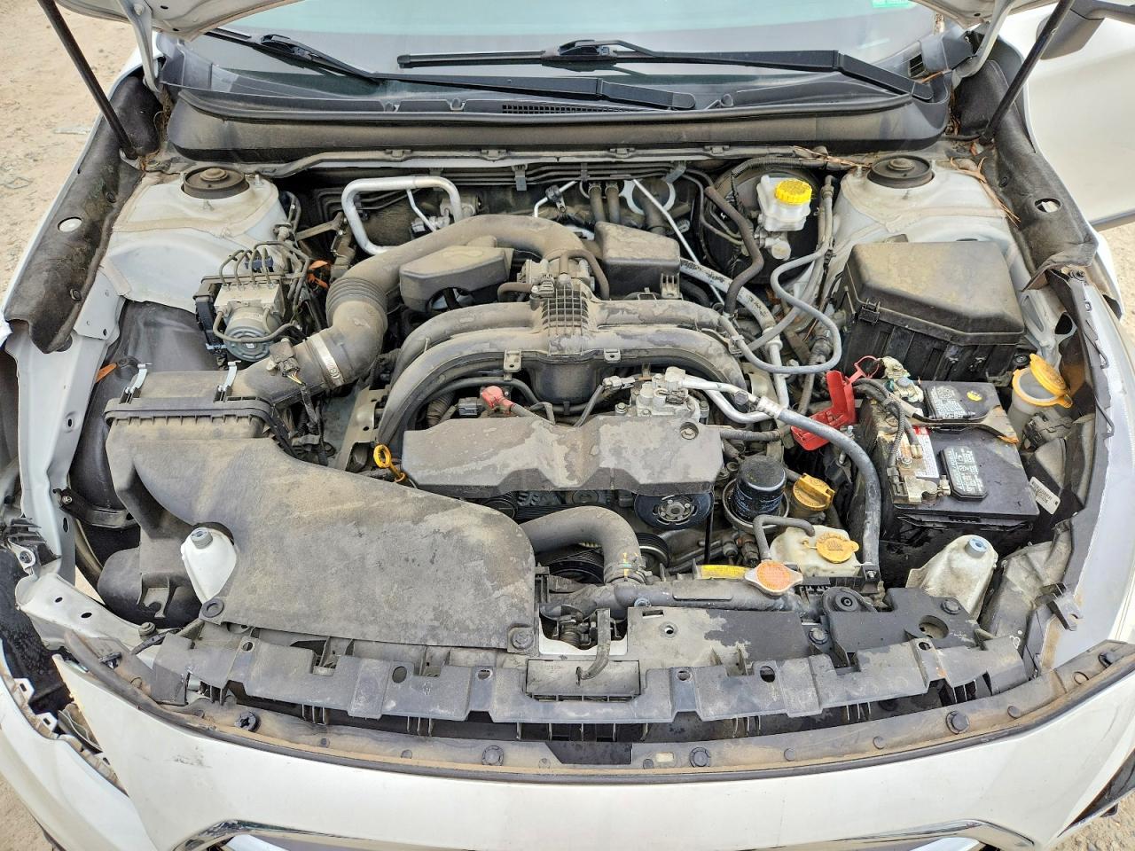 2019 SUBARU Outback