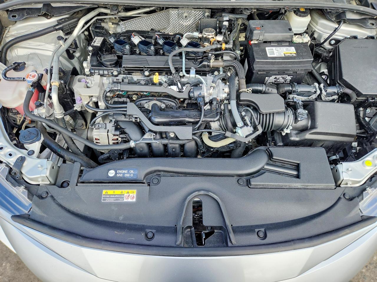 2023 TOYOTA COROLLA