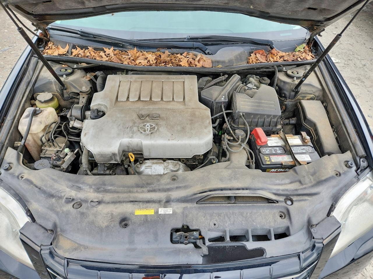 2005 TOYOTA Avalon