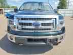 2014 FORD F-150 Lightning