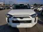 2023 TOYOTA 4Runner