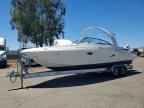 2020 Crown Boat