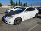 2009 LEXUS IS 250
