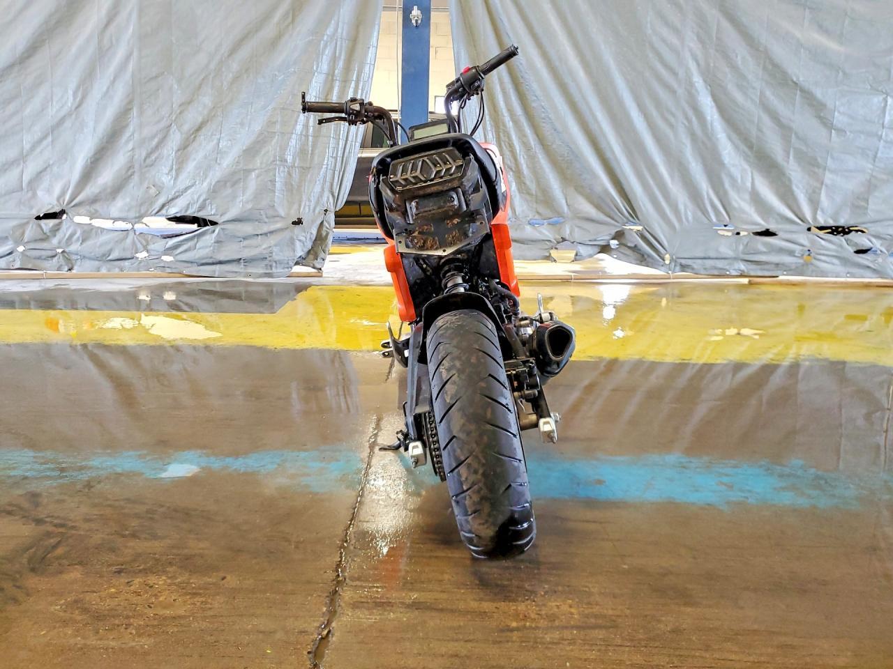 2024 HONDA Grom