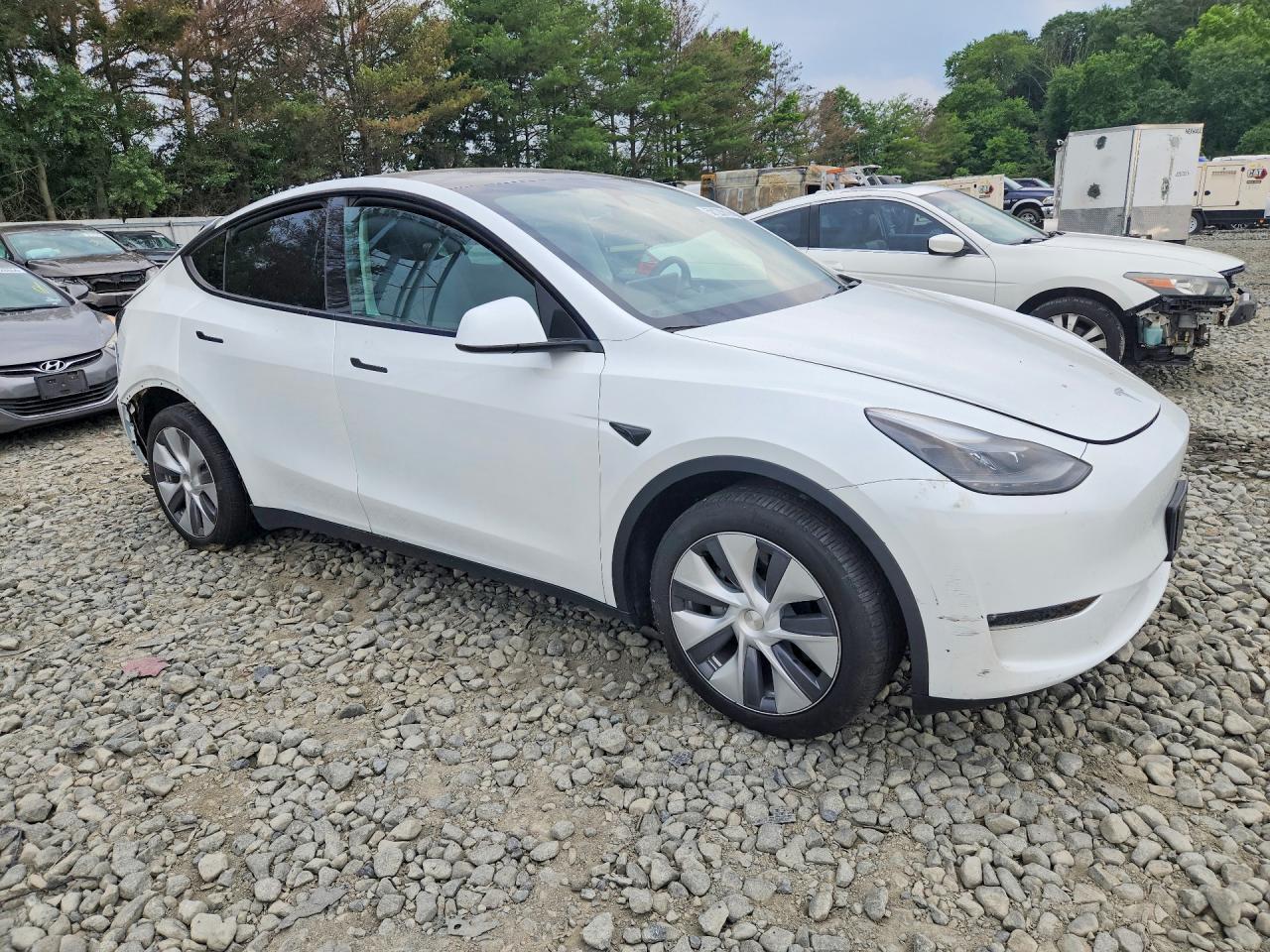 2024 TESLA MODEL Y