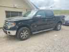 2013 FORD F-150 Lightning