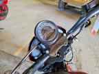 2024 HARLEY-DAVIDSON FXLRS