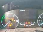 2024 FORD Maverick