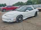 2001 PONTIAC Firebird