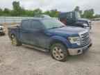 2013 FORD F-150 Lightning