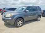 2009 HONDA PILOT