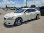 2010 NISSAN Maxima