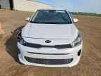 2019 KIA RIO